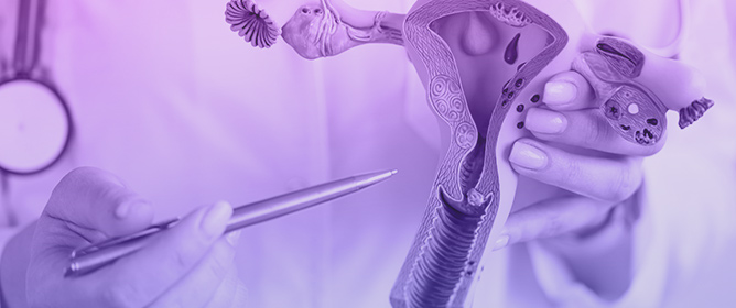 Hormonal Dysregulation and Neuroinflammation in Endometriosis: Convergent Druggable Pathways
