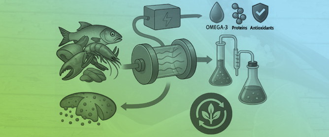 Enhancing Product Value and Energy Efficiency in Seafood By-Product Processing Using Pulsed Electric Fields: A Critical Review