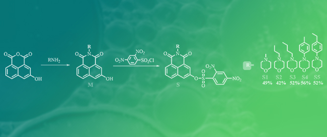 Influence of Morpholine Substitution on DNBS-Based 1,8-Naphthalimide Fluorescent Probes for H<sub>2</sub>S Detection