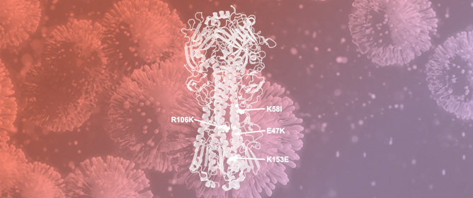 Effect of Acid-Stabilizing Hemagglutinin Mutations on Immunogenicity and Heterologous Protection by H1N1 Influenza Virus mRNA-LNP Vaccines