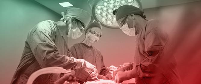 &lsquo;More than Just a Personal Assistant&rsquo;: A Qualitative Study Examining the Lived Experiences of Anaesthetic Nurses in Australia