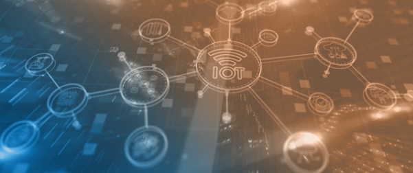 IoT Vulnerability Severity Prediction Using Lightweight Transformer Models