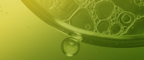 Evaluation of Green Solvents for Soybean Oil Extraction Through Integration of COSMO-RS Screening, Accelerated Solvent Extraction, and Diffusion Kinetics