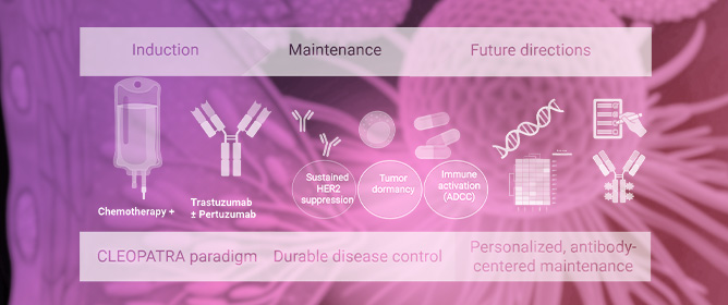 Post-Chemotherapy Antibody-Based Continuation and Maintenance Strategies in HER2-Positive Metastatic Breast Cancer: A Translational Narrative Review