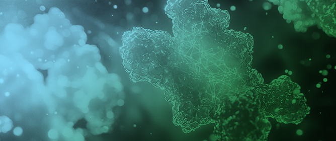 Prospective ICH Q2-Aligned Total-Error Validation of Label-Free Untargeted Proteomics for Host Cell Protein Quantification in Biotherapeutics