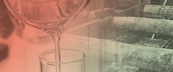 Deep Eutectic Solvents as a Potential Alternative Extraction Technique for the Isolation of Phenolic Compounds from Economically Important European Tree Species