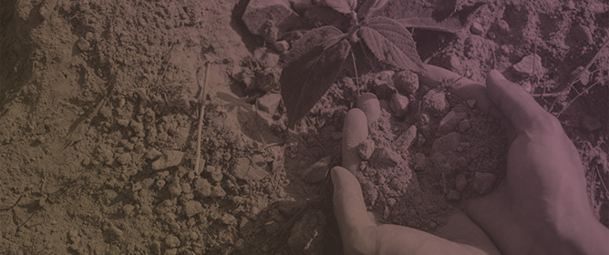 Remediation of Contaminated Soils Using Organic Waste and Waste Products in Sub-Saharan Africa: A Review of Technologies, Adoption and Challenges