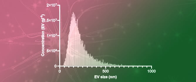 Cell Type-Specific Proteomic Cargo in Human Brain Endothelial, Astrocyte, and Neuronal Extracellular Vesicles