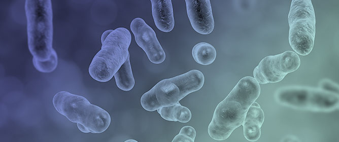 Identification and Genomic Localization of the <em>cpe</em> Gene in <em>Clostridium perfringens</em>