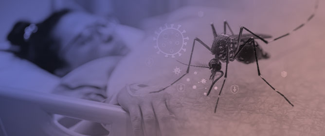 Beyond the Tropics: Clinical Presentation and Epidemiology of Travel-Associated Dengue Fever in a Non-Endemic European Setting