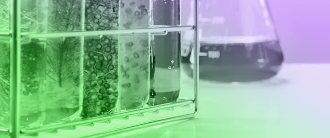 Algae-Based Remediation of Nitrocellulose Alkaline Hydrolysis Liquors