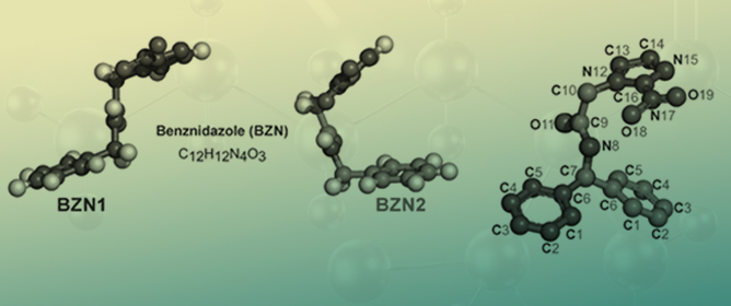 Conformational Preferences of the Trypanocidal Drug Benznidazole by DFT-Guided Vibrational Spectroscopy