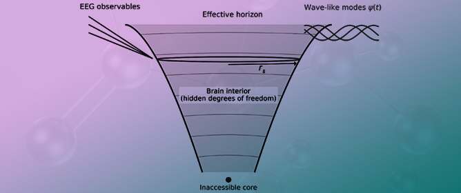 Black Hole&ndash;Inspired Horizon Model for Neural Signal Dynamics