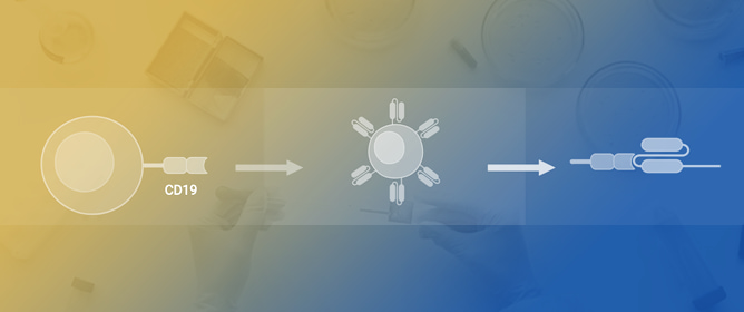 Beyond Hematology: Current Insights into CAR T-Cell Therapy in Dermatology