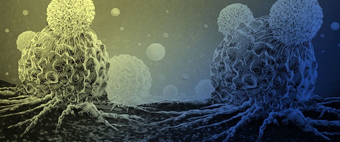 Advances in Immune Checkpoint Inhibitors for Cancer Treatment