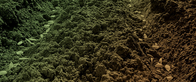 The Effect of the Freeze&ndash;Thaw Process on Plant Available Water and Water-Stable Aggregates as a Function of Soil Tillage and Soil Chemical Quality