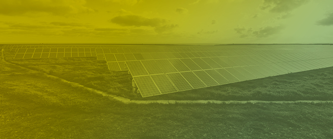 Crop Yield Responses to Reduced Solar Radiation in Agrivoltaic Systems: Crop-Specific Patterns and Shading Thresholds