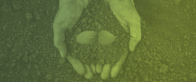 Trends in Global Soil Research and a Microbiome-Based Framework for Soil Health Assessment