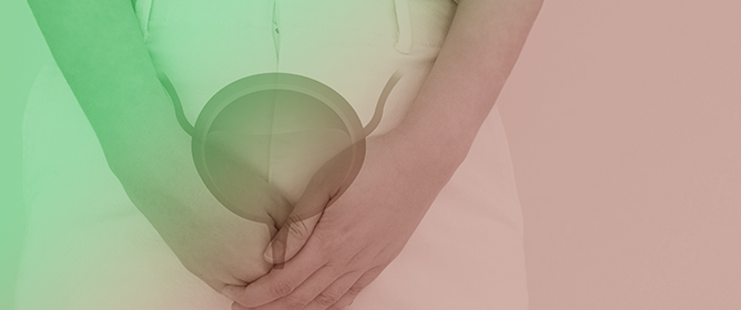 Aberdeen Sexual Function Improvement Index (SFI-I): A Novel Brief Questionnaire for Evaluating Sexual Function in Women with Stress Urinary Incontinence