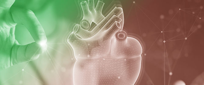 Prosthetic Heart Valves and Particle Image Velocimetry&mdash;A Review