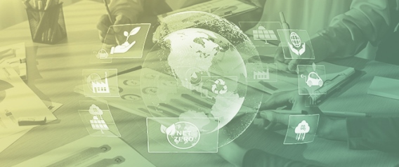 Boosting Sustainable Action: Co-Design, Visualizations and Awareness