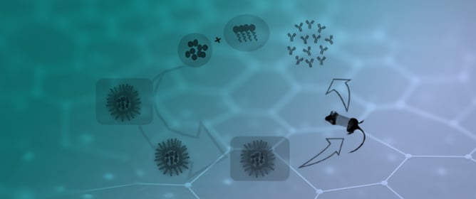 Laminarin-Loaded Solid-in-Oil Nanodispersion for Enhanced Non-Invasive Transdermal Immunization