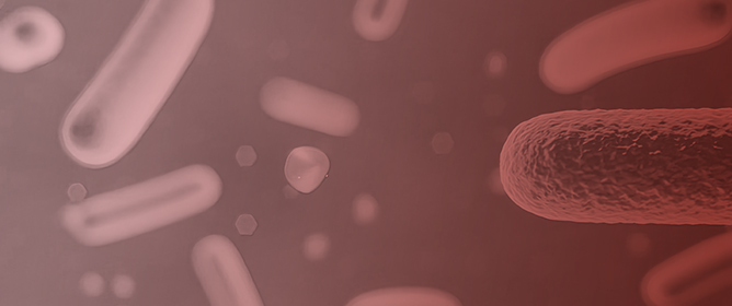 Glyphosate and Antimicrobial Resistance: A One Health Perspective