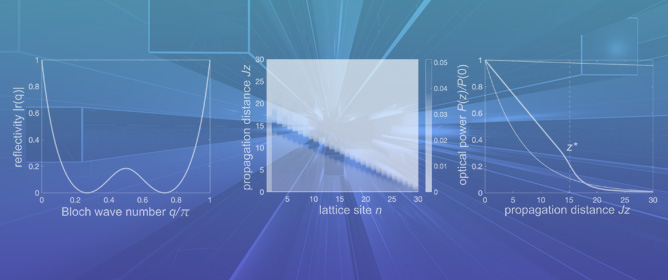 Algebraic Absorption in Non-Hermitian Photonic Lattices