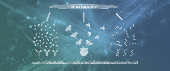 Electrochemical Biosensors for Hormone Detection: Advances and Trends&mdash;An Update Since 2010