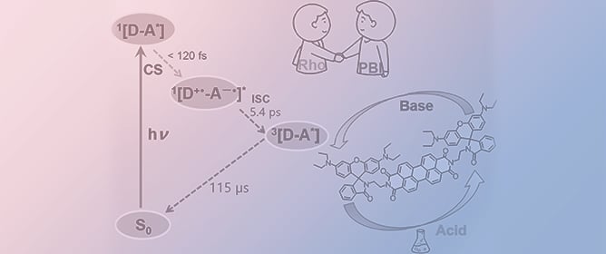 Preparation and Photophysical Study of Rhodamine&ndash;Perylenebisimide Electron Donor&ndash;Acceptor Dyad/Triads Containing Flexible Linkers