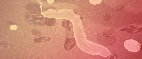Long-Term Parasitological Clearance and Cardiac Progression in <em>Trypanosoma cruzi</em> TcI: A Phase-Stratified Cohort from Colombia
