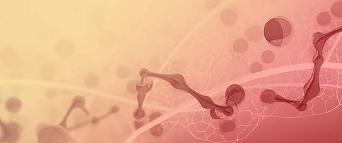 Cytokine-Driven Immune Phenotypes at Delivery as Indicators of Malaria Infection Among Primigravidae in Burkina Faso: An Exploratory Analysis