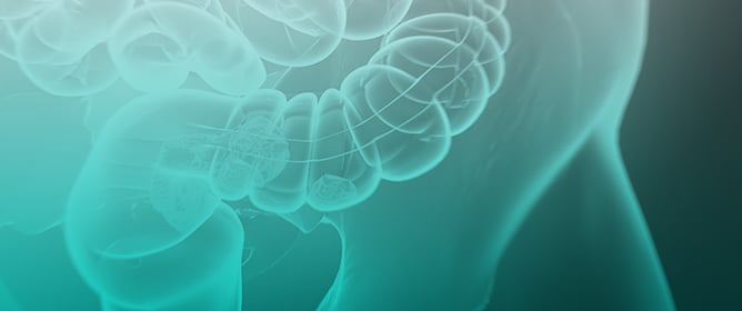 Co-Formulation of Pembrolizumab Murine Surrogate RMP1-14 with Imagent Ultrasound Contrast Agent Enhances Intratumoral Antibody Delivery Through a Transient Increase in Tumor Blood Perfusion