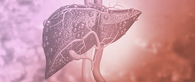 Integrative Profiling of Metabolic <em>CYP</em> Expression, DNA Mutation Rates, and Immune Cell Infiltration for Survival Prognosis in Hepatocellular Carcinoma