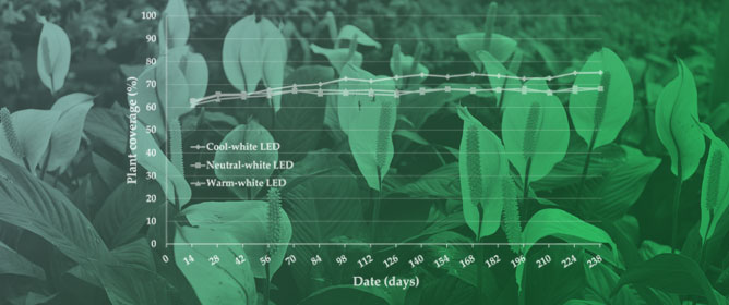 Effects of White LED Correlated Color Temperature on Growth, Flowering, Physiology, and Visual Perception of Spathiphyllum wallisii in Indoor Living Walls