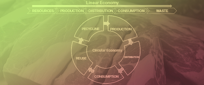 Valorization of By-Products for Functional Ingredients in Meat and Meat Replacers: A Circular Bioeconomy Approach