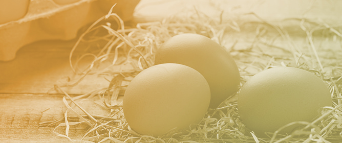 Multilevel Characterization of Eggs from Laying Hens Fed Dried <em>Haematococcus pluvialis</em> Biomass: Natural Biofortification, Lipid Modulation, and Instrumental Sensory Assessment