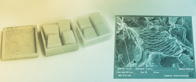 Peanut Shell Waste Valorization in 3D-Printed Biocomposites for Sustainable Food Packaging: Material Properties, Preservation Performance, and Biodegradability