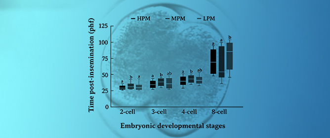 The Association Between the Progressive Motility of Bovine Spermatozoa and the Developmental Morphokinetics of In Vitro-Derived Embryos