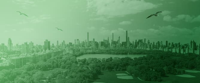 Integrating Habitat Suitability in Urban Forest Ecosystem Service Assessments: Reflections from i-Tree Wildlife