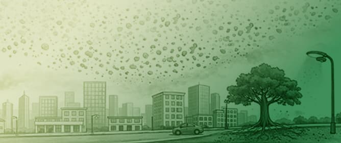 Beyond Climate: A Cambium-Centred Synthesis of Anthropogenic Drivers of Wood Formation in Urban Trees
