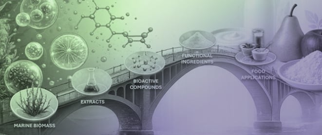 From Bioactivity to Functionality: Bridging Marine Chemical Diversity and Performance in Food Systems