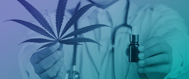 Disparities in Synthetic Cannabis Use Among U.S. Adults, 2022&ndash;2024