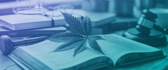 Cannabis Consumers&rsquo; Understanding of New York State&rsquo;s Required Cannabis Product Labeling