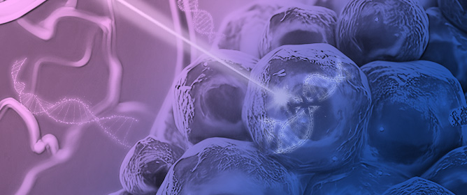 From Cellular Radiosensitivity to Precision Radiotherapy: Integrating Functional Assays, Genomics, and Clinical Modeling
