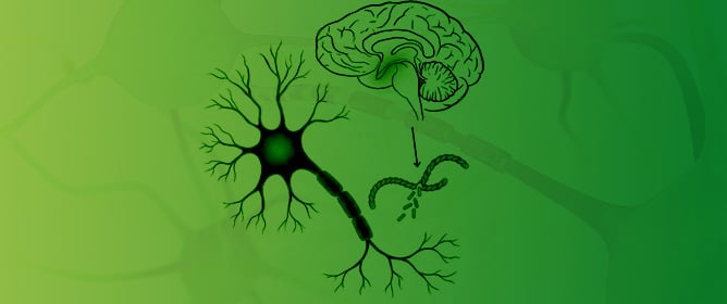 Neurofilament Light Chain as a Serum Biomarker in Anorexia Nervosa