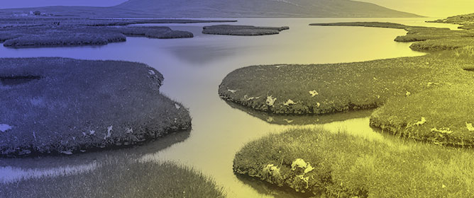 Assessing Environmental Status in Salt Marsh Transitional Waters Using High-Resolution Hydrodynamic Models