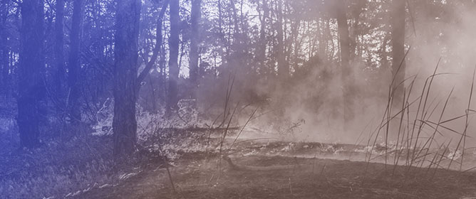 Public Perceptions of Wildfire Risk: Evidence from the Peak District (UK)