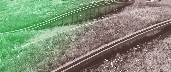 Wind as a Crucial Stress Factor in Green Roof Vegetation