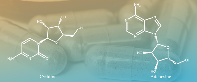 Analysis of the Characteristic Chromatogram and Quantitative Determination of 25 Marker Compounds in the Traditional Chinese Medicine Preparation Qili Qiangxin Capsules by HPLC-DAD-ESI-MS/MS